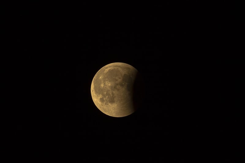 Moon Phases Delight