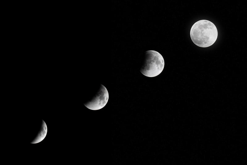 Moonlit Evening