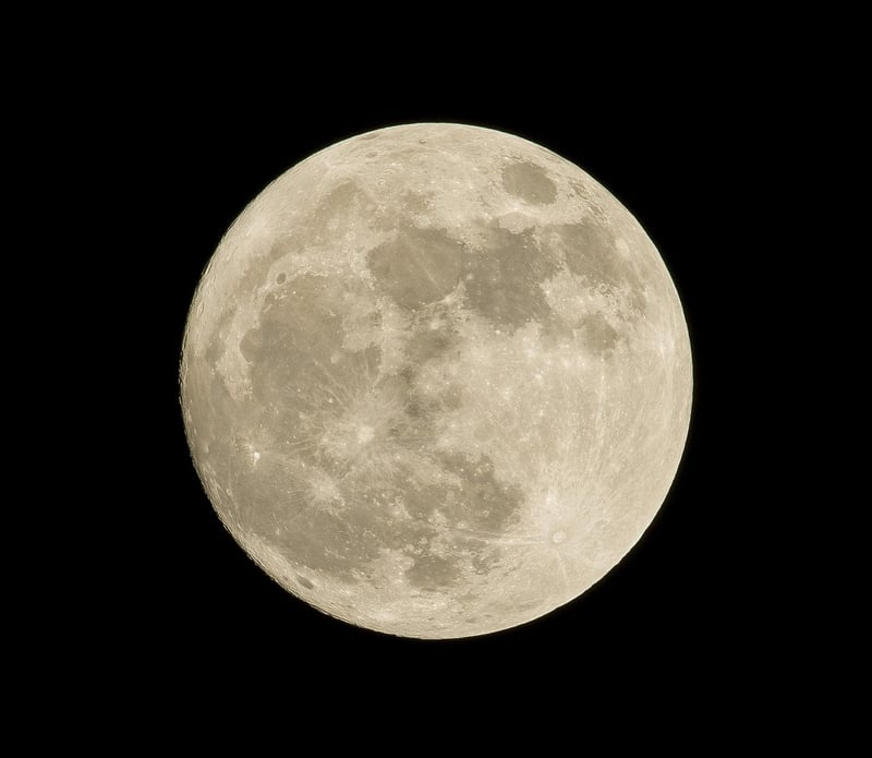 Moonlit Wedding