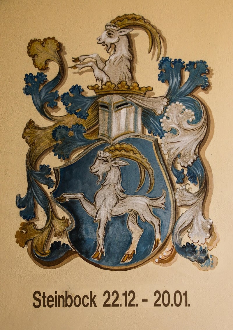Zodiac Constellations